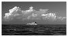 Croatian navy in action (2) by Dirk Guttmann
