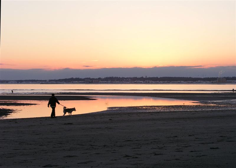 Coastal Sunset