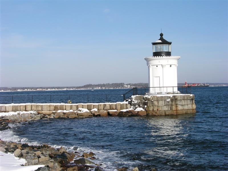 Bug Light