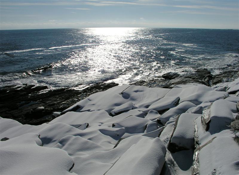 Coastal Winter