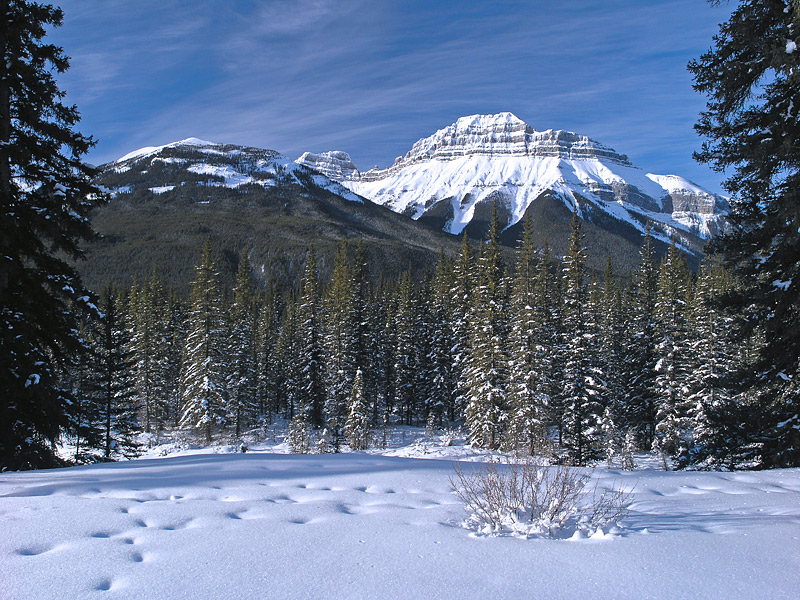 Winter morning in mountains