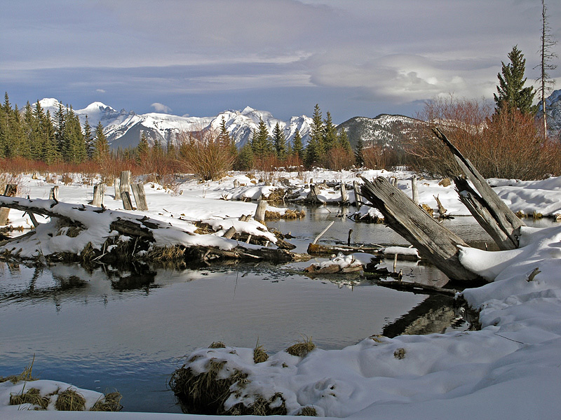 Rocky Mountain Winter