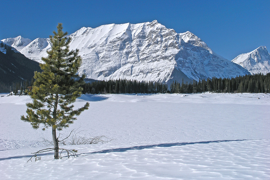 Winter Desolation