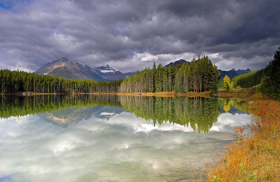 Herbert Lake