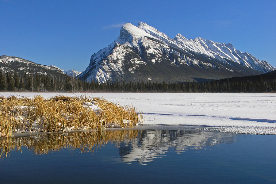 Mount Rundle Winter
