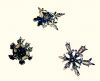 Snowflakes - Up Close (2) by Loren Lewis