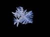 Ice Cold by Loren Lewis