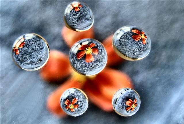 Flower Bubbles 2