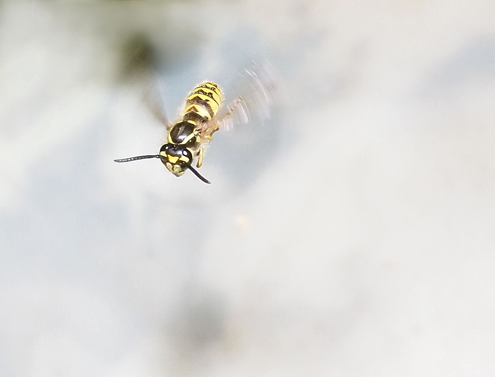 In flight