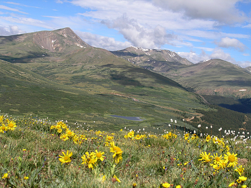 Mt Bierstadt Trail