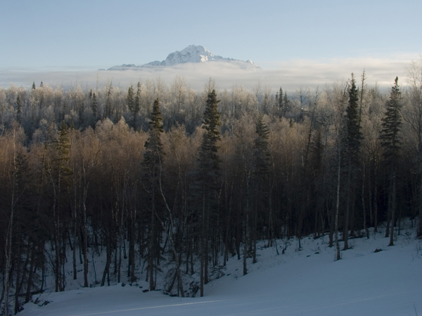 Pioneer Mountain