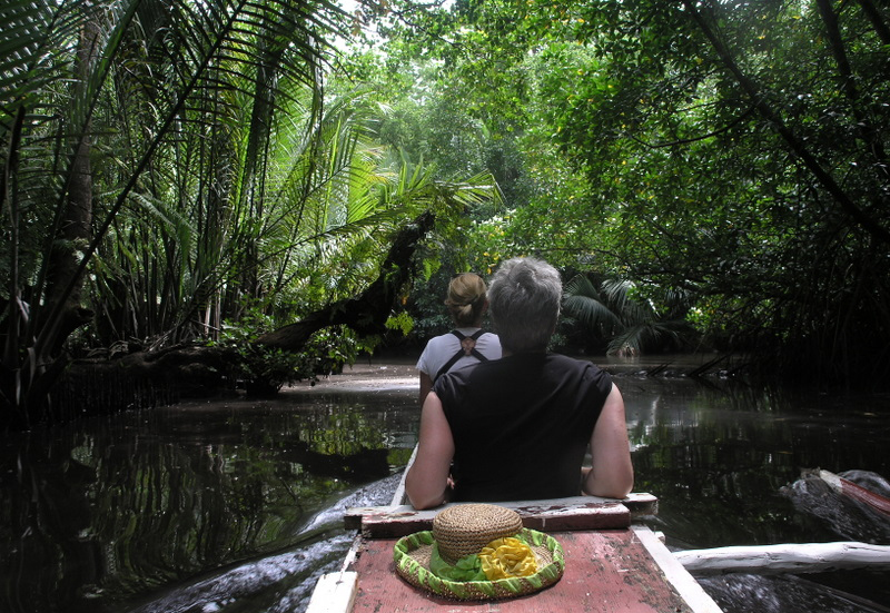Paddling in the Mangrove 2