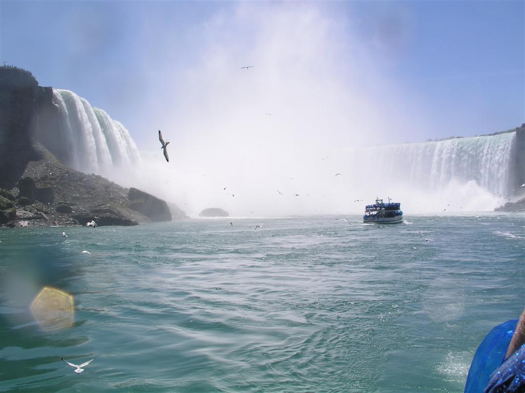 Niagra