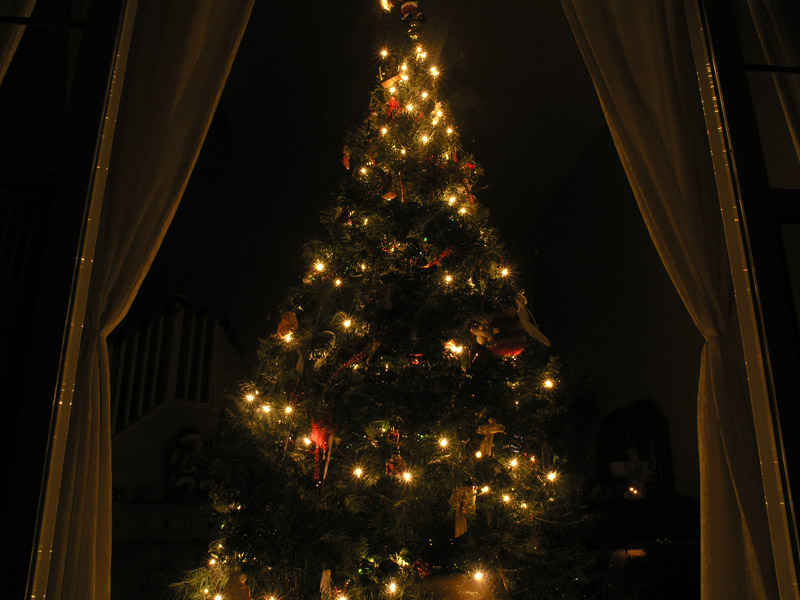 Oh Christmas Tree