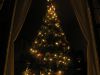 Oh Christmas Tree