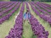 Toria in the Tulips by Kim Guarnaccia