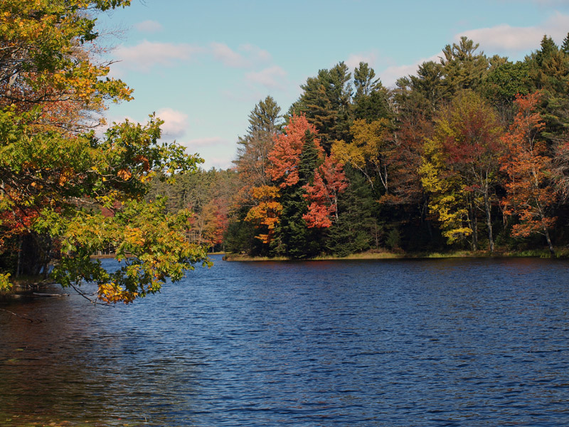 Fall Colors of Arrowsic Maine