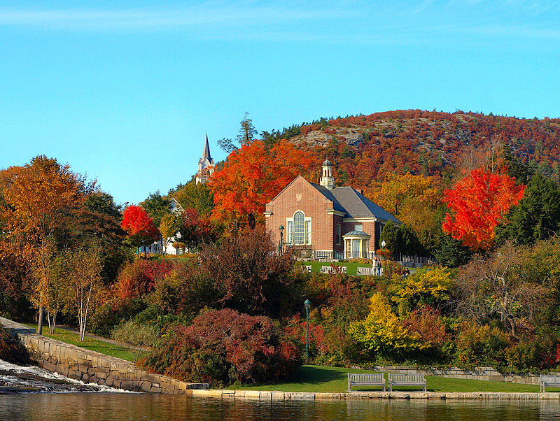 View From The Harbor