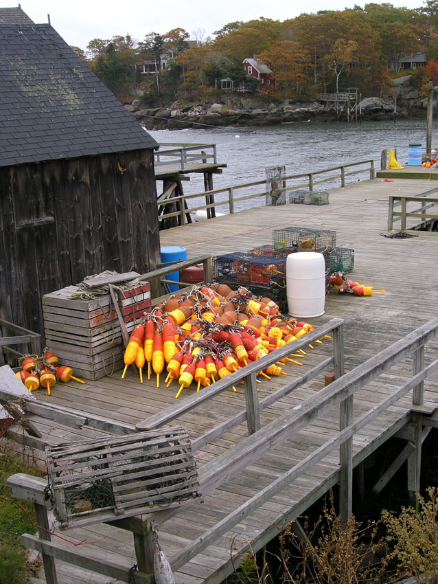 Lobster Trap Bouys