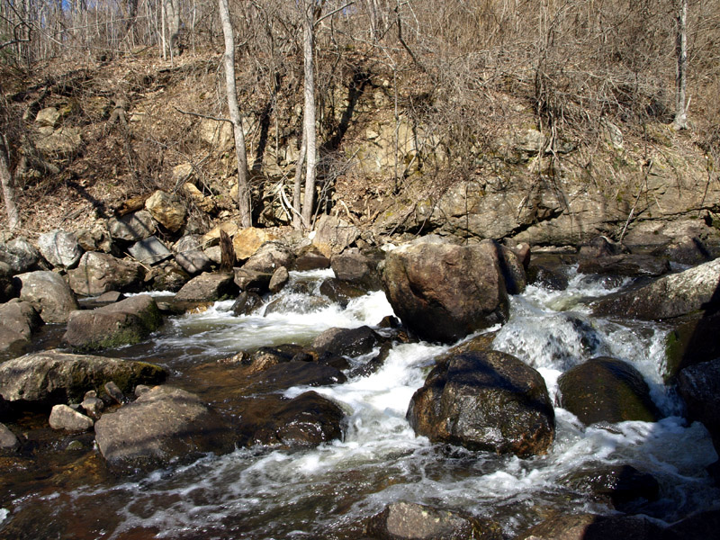Spring Runoff 3