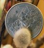 Quarter and Pussy Willow by Rich Campbell