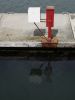 La Conner Dock
