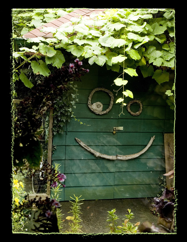Shed