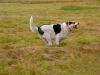 Maddy in Motion by Jim Sabatke