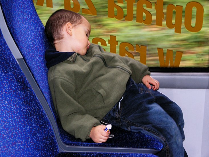 Polish boy asleep on train