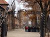 Aushwitz - Arbeit Mach Frei by Jim Sabatke