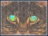 Evil Toonces by Jim Sabatke