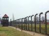 Aushwitz - Nasty Electric Fence by Jim Sabatke