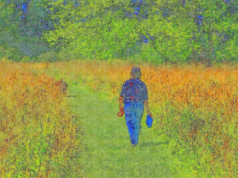 A Walk In The Park