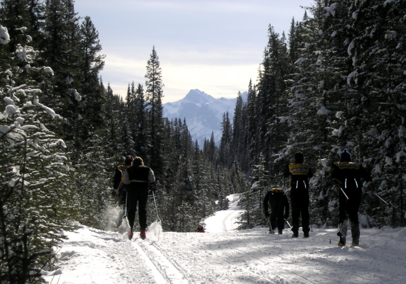 Banff ski racers