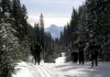 Banff ski racers by Al Lewis