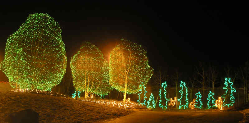 Calgary Zoo Lights