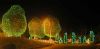 Calgary Zoo Lights by Al Lewis