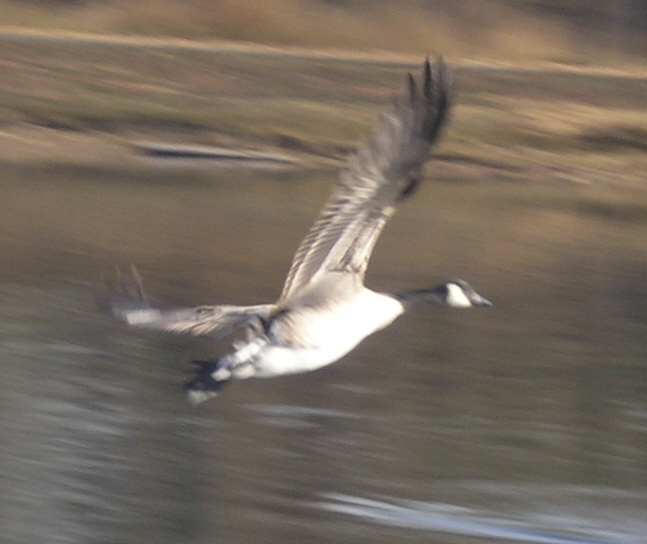 Final Approach