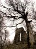 Ruins