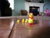 Easter Chicks by Ian MacDonald