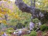 Autumn by Jose Angel Calvo