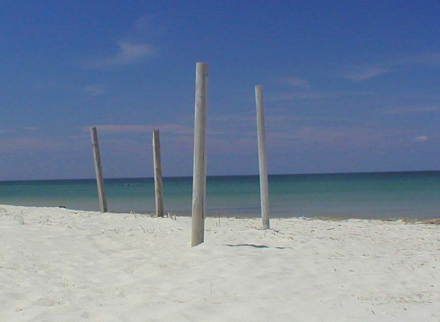 Cape Cod or Carribean