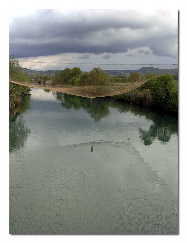 Trout Net