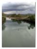 Trout Net