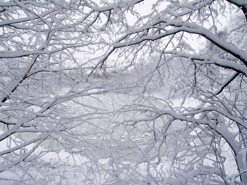 winter