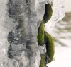 Ice and iron