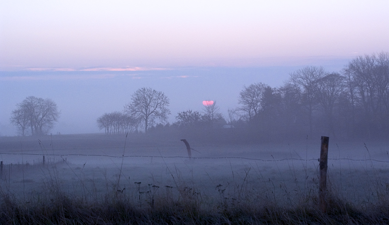 misty morning