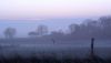 misty morning by chris nunan