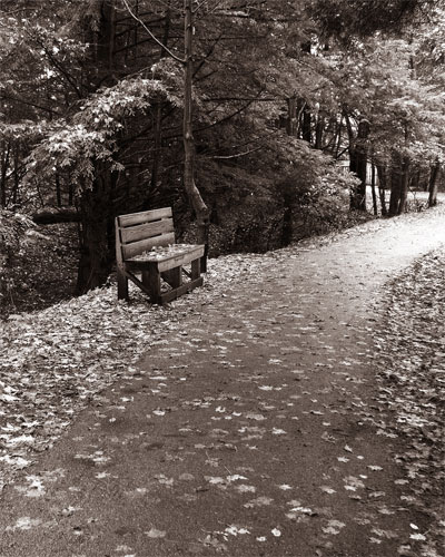 Autumn Seat