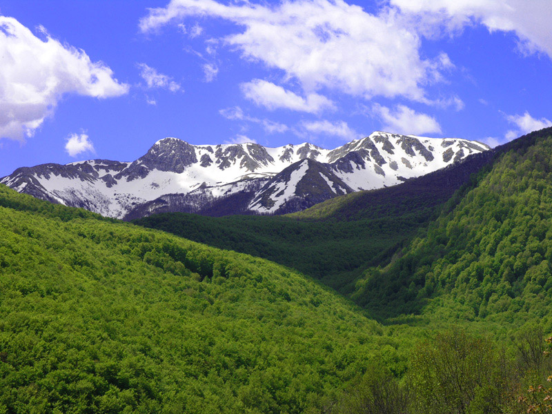 Abruzzo National Park (Italy)